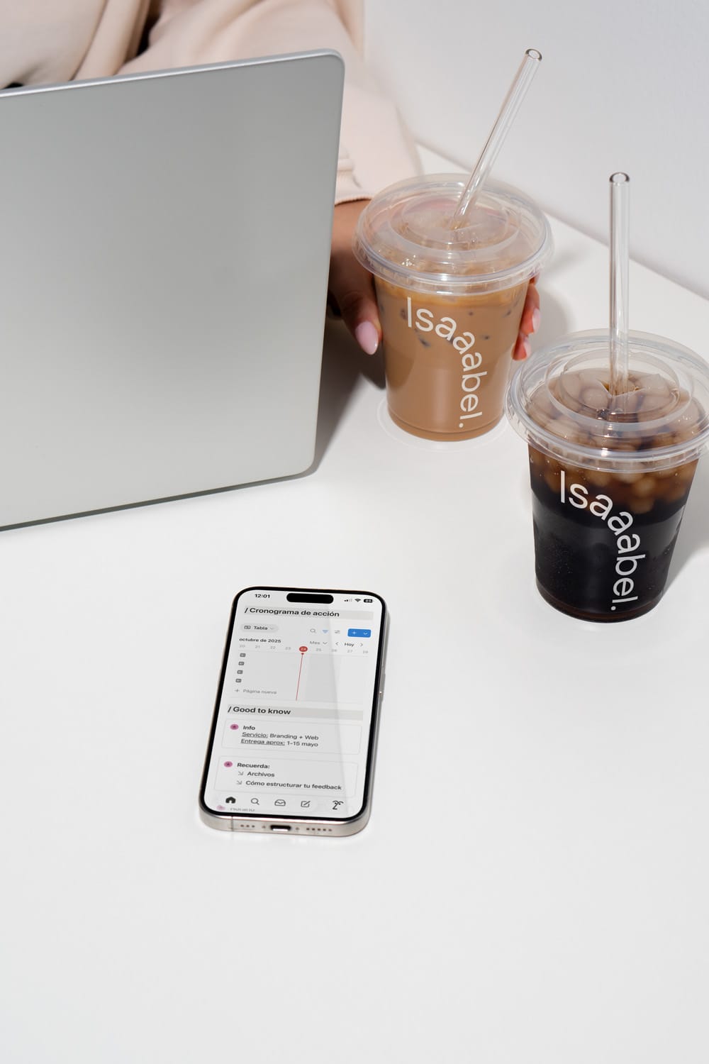 project-manager-version-portal-notion-isaaabel-002jpg